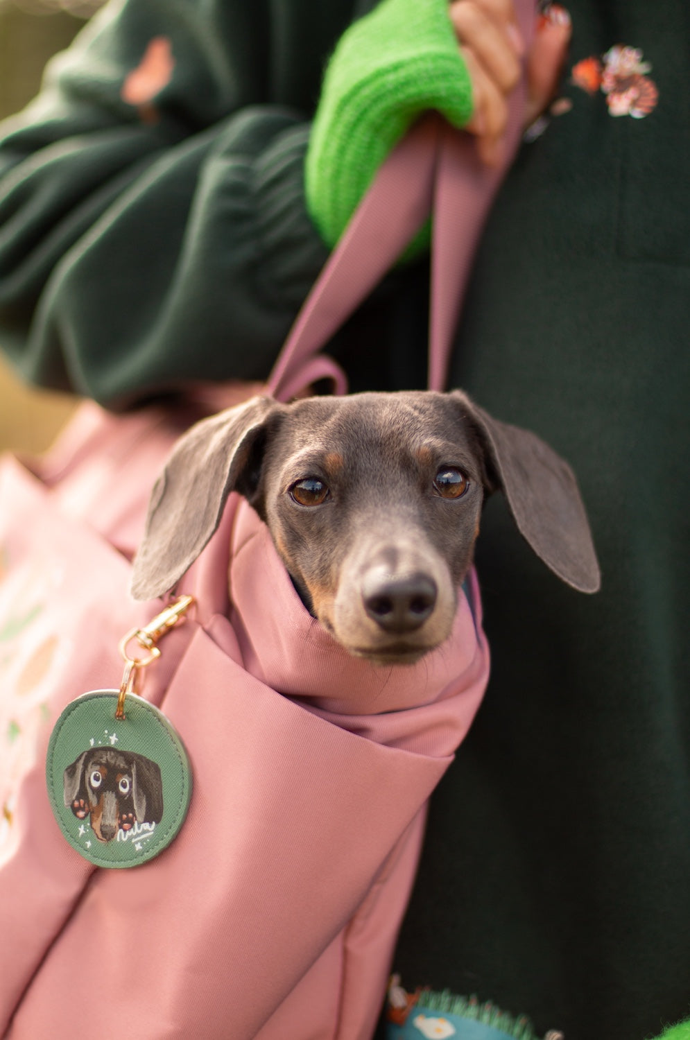 Custom Illustrated Pet Portrait Key Ring