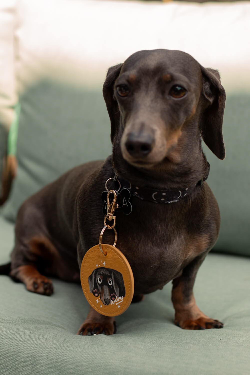 Custom Illustrated Pet Portrait Key Ring