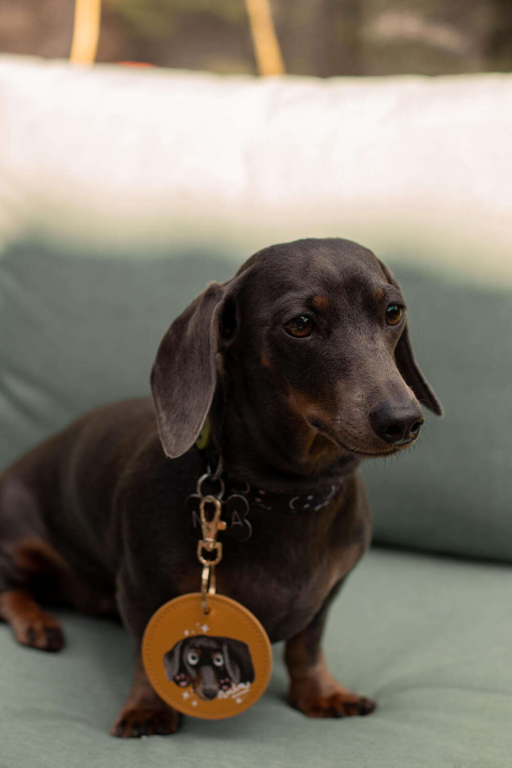 Custom Illustrated Pet Portrait Key Ring