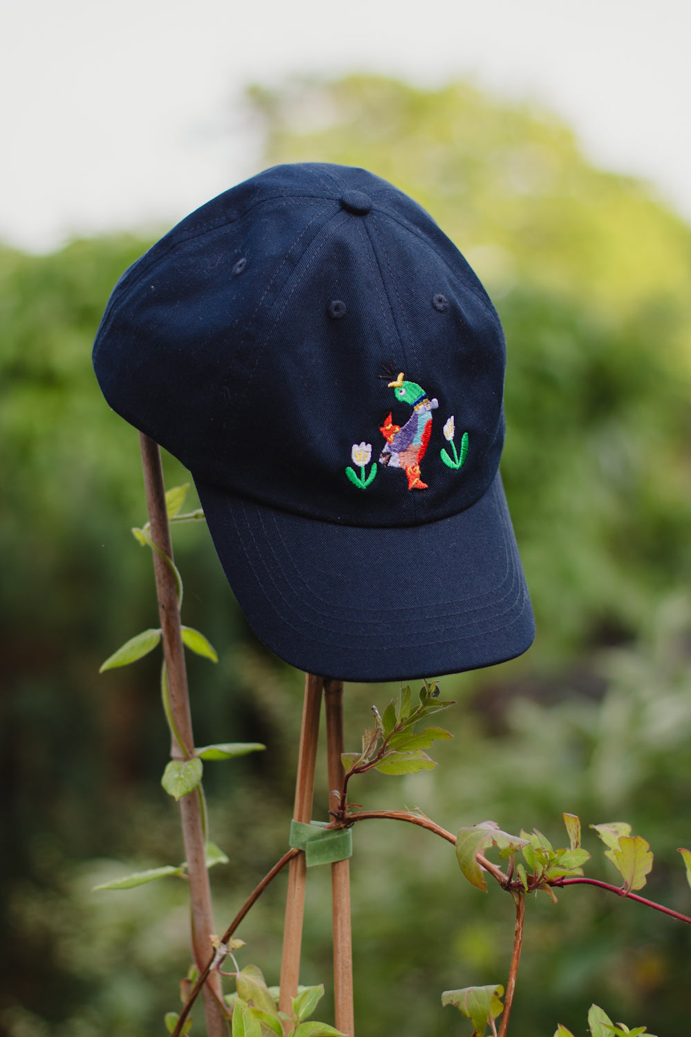 Pride Duck Charity Cap