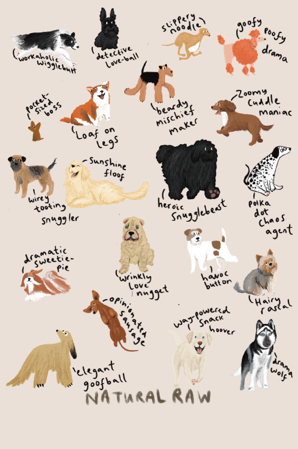 Dog Breeds T-shirt- quirky phrases edition